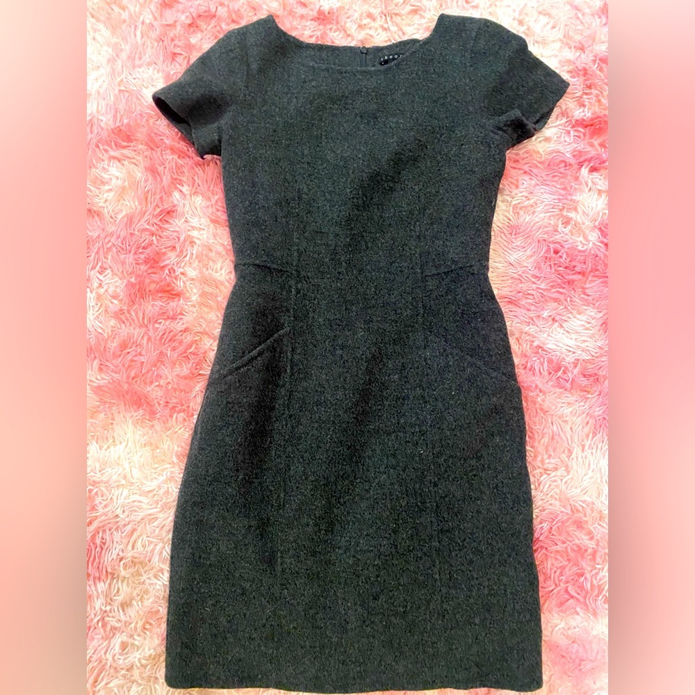 Theory Dress